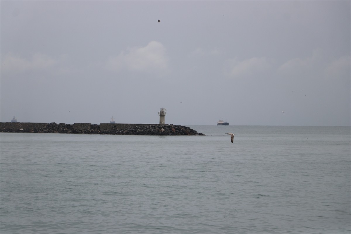  Tekirdağ'da 3 gündür süren poyrazın etkisini yitirmesiyle deniz ulaşımı normale döndü.