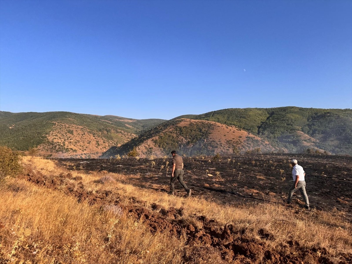Tokat'ta çıkan orman yangını ekiplerin müdahalesiyle söndürülürken yangında yaklaşık 2 hektarlık...