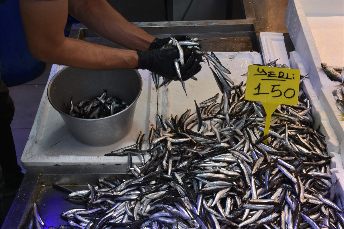 Trabzon'daki balıkçı tezgahlarında hamsi ve istavritin kilogramı 150 liradan satılıyor. Ortahisar...