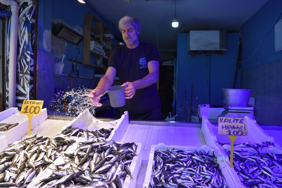 Trabzon'daki balıkçı tezgahlarında hamsinin kilogramı 100 liradan satılıyor. Ortahisar ilçesinin...