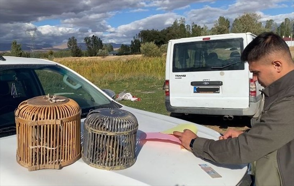 Van'da kaçak avladığı kekliklerle yakalanan bir kişiye 48 bin 883 lira ceza verildi.