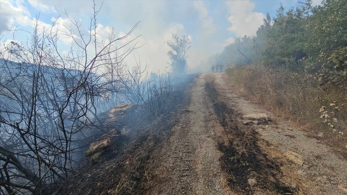 Zonguldak'ın Kilimli ilçesinde çıkan örtü yangını kontrol altına alındı. Yaklaşık 2 dekar alanın...