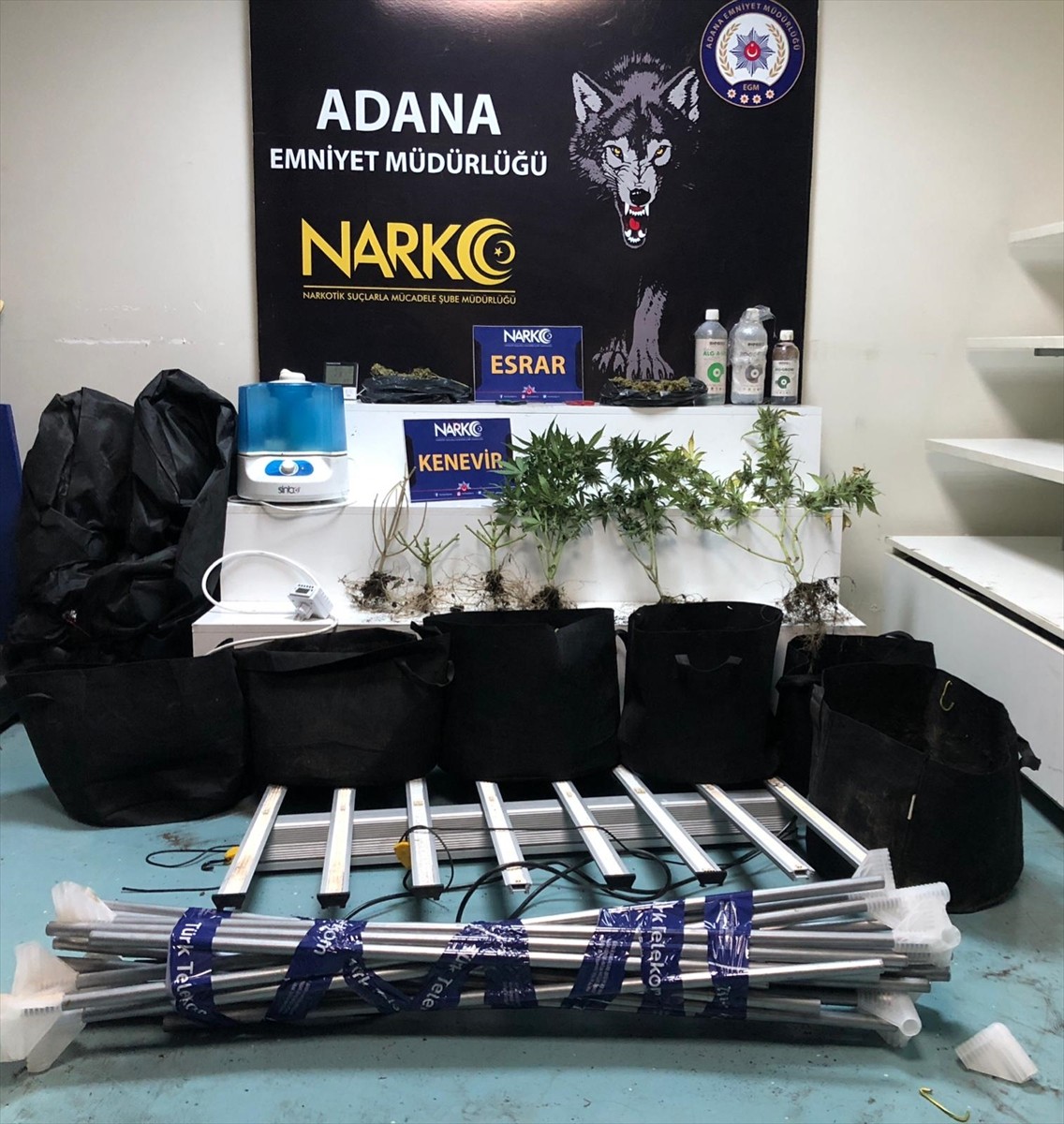 Adana'nın merkez Sarıçam ilçesinde evinde kurduğu iklimlendirme sistemiyle kenevir yetiştiren...