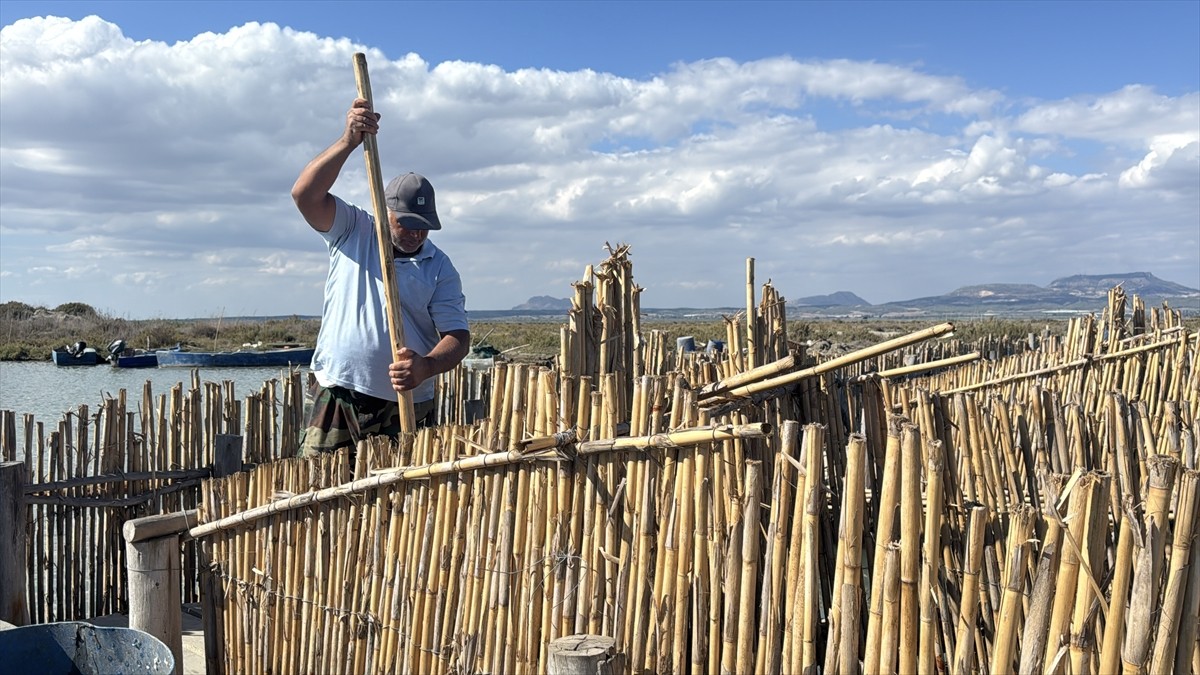 Akdeniz'in kıyısındaki Adana'da dalyanlardan avlanan kefallerden elde edilen havyar, Türkiye'nin...
