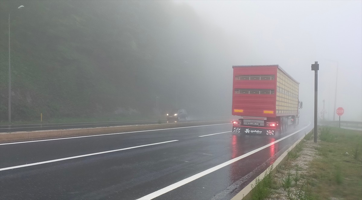 Ankara ve İstanbul arasındaki ulaşımı sağlayan önemli güzergahlardan D-100 kara yolunun Bolu Dağı...