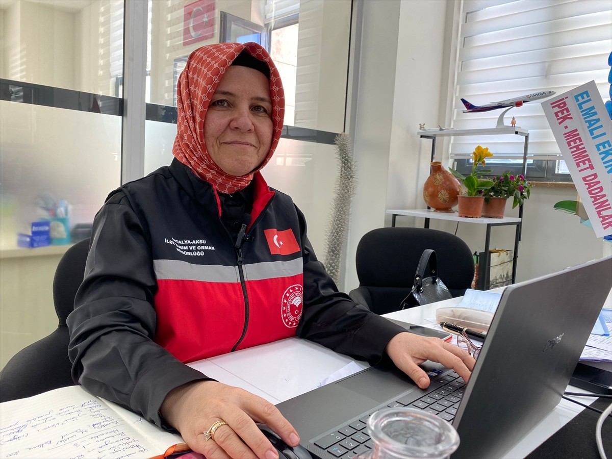 Antalya'nın Aksu ilçesinde fırtına ve yağıştan zarar gören seralarda hasar tespit çalışması...