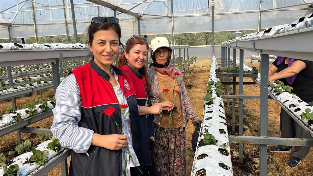 Antalya'nın Manavgat ilçesinde 15 Ekim Dünya Kadın Çiftçiler Günü dolayısıyla serada çalışan...