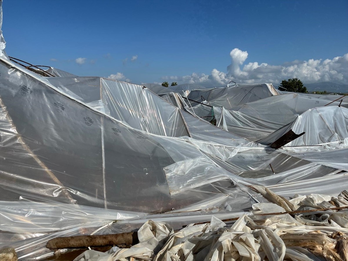 Antalya'nın Serik ilçesinde fırtına ve yağıştan zarar gören seralarda hasar tespit çalışması...
