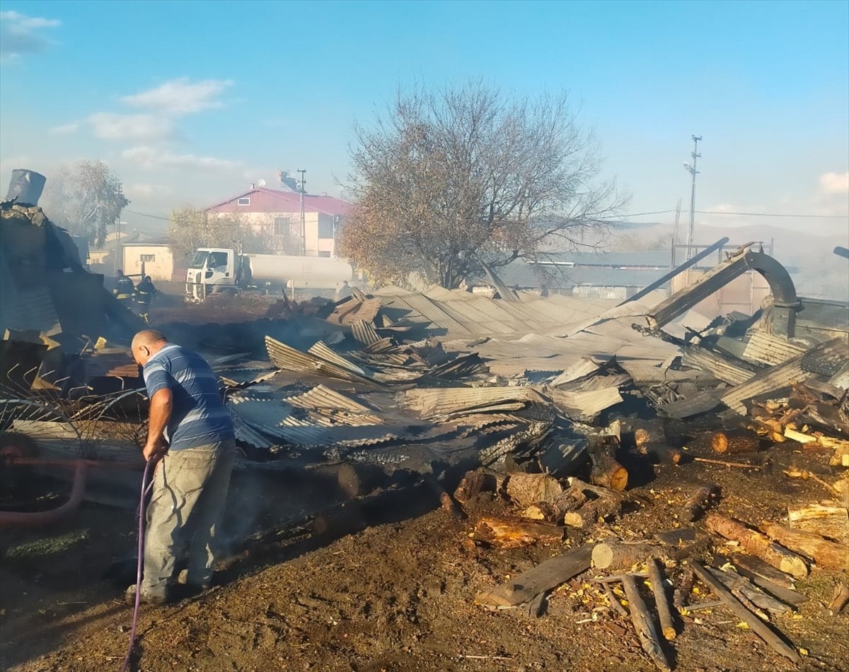 Ardahan'da ahırda çıkan yangında 15'i küçük, 23 hayvan telef oldu.