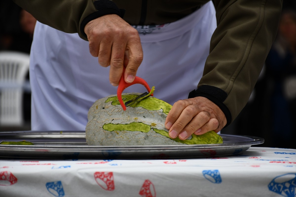 Bilecik'te, bu yıl 8'incisi gerçekleştirilen Kızıldamlar Kestane Kabağı Festivali düzenlendi....