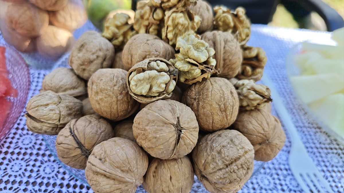 Bitlis Valisi Ahmet Karakaya, protokol üyeleri ile Adilcevaz ilçesinde ceviz üreticisi Mehmet...