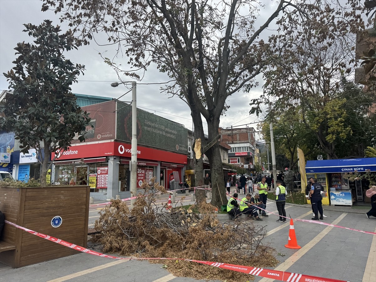 Bursa'da kuvvetli rüzgar, hayatı olumsuz etkiledi. Kent Meydanı'nda ise bir ağacın büyük dalı...