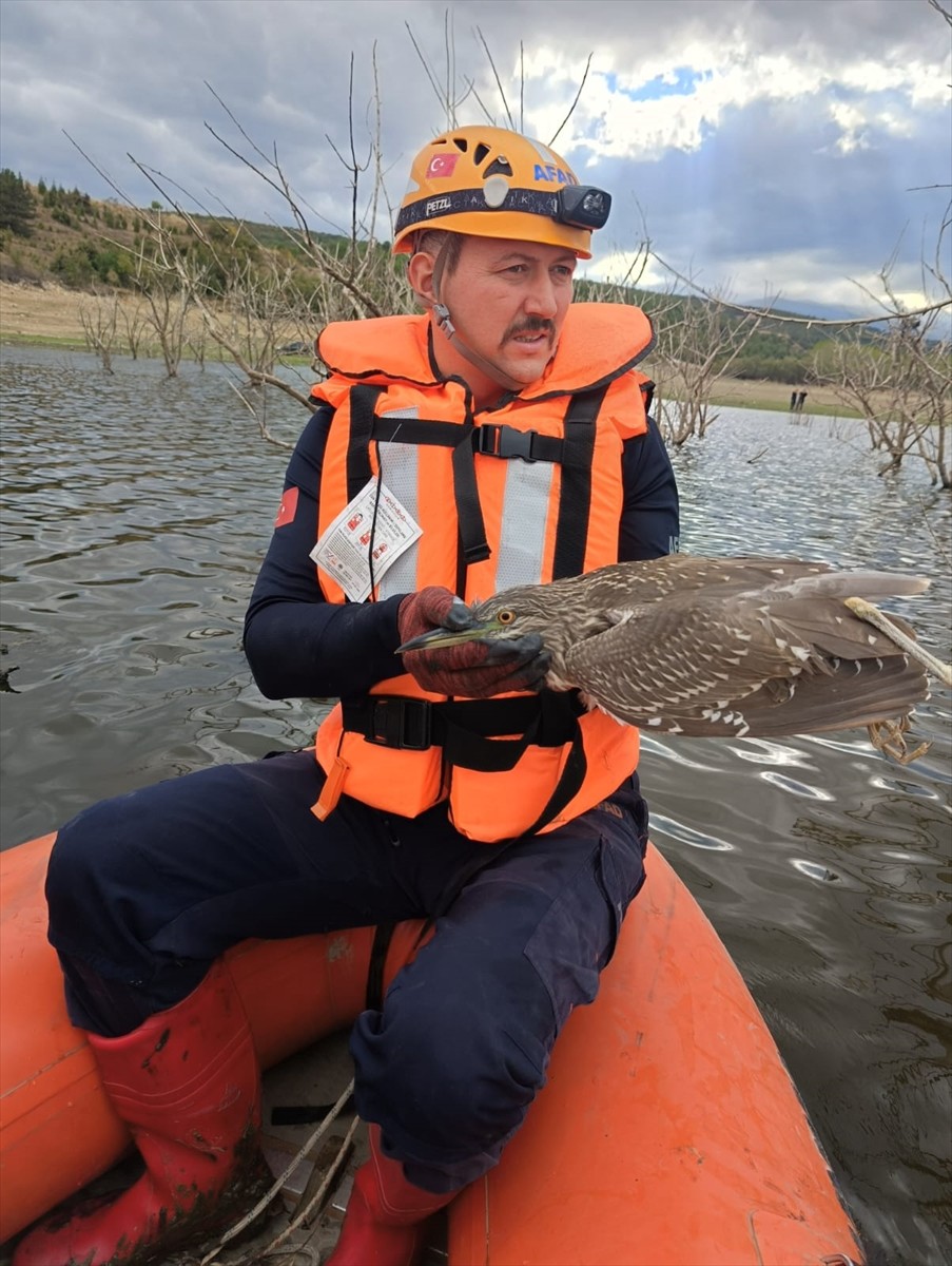 Bursa'nın İnegöl ilçesinde misinaya takılıp mahsur kalan yabani kuş, ekiplerce kurtarıldı.