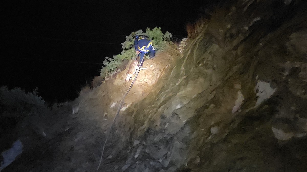 Bursa'nın İnegöl ilçesinde uçurumun ortasındaki kayalık alanda mahsur kalan köpek, itfaiye...