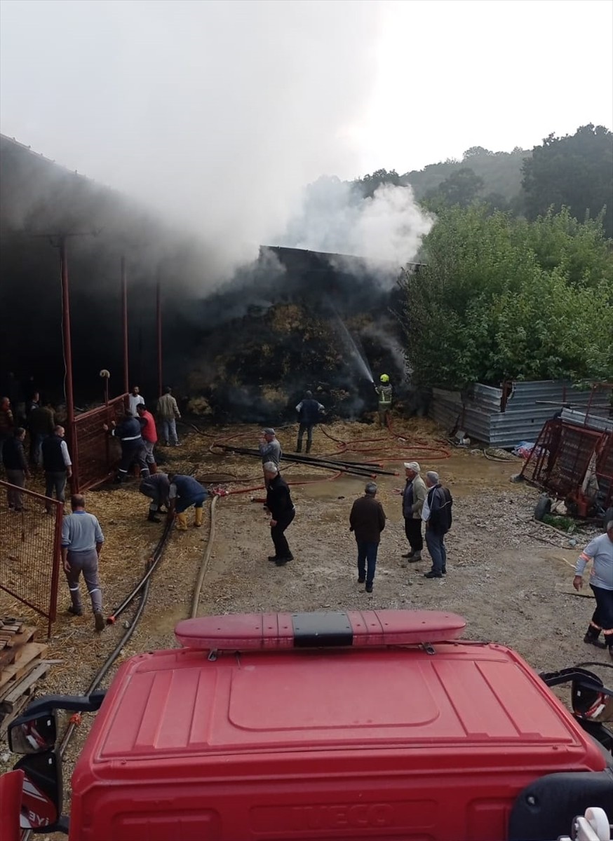 Bursa'nın Nilüfer ilçesindeki bir ahırda çıkan yangında 170 küçükbaş hayvan telef oldu.