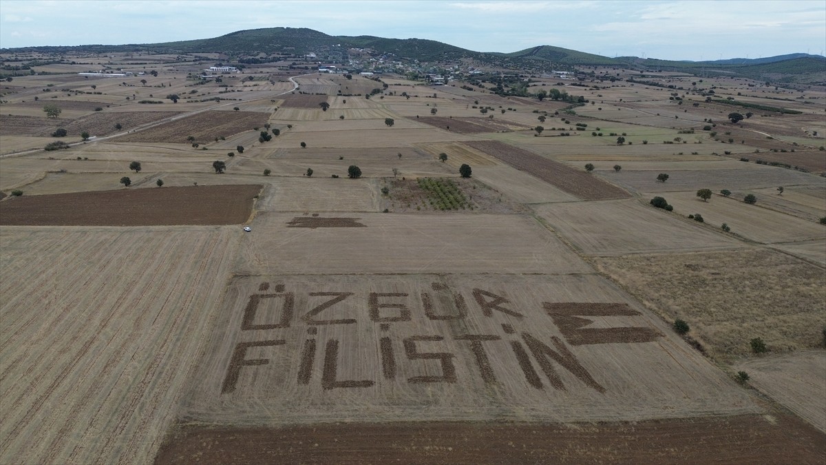 Çanakkale'nin Biga ilçesinde çiftçilik yapan Hüseyin Savaş, Filistin halkına destek olmak amacıyla...