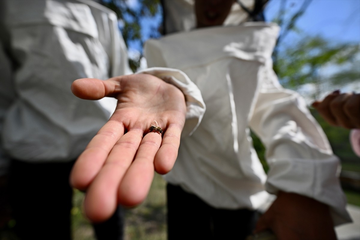 Düzce'de Türkiye Bilimsel ve Teknolojik Araştırma Kurumu (TÜBİTAK) tarafından desteklenen projeyle...
