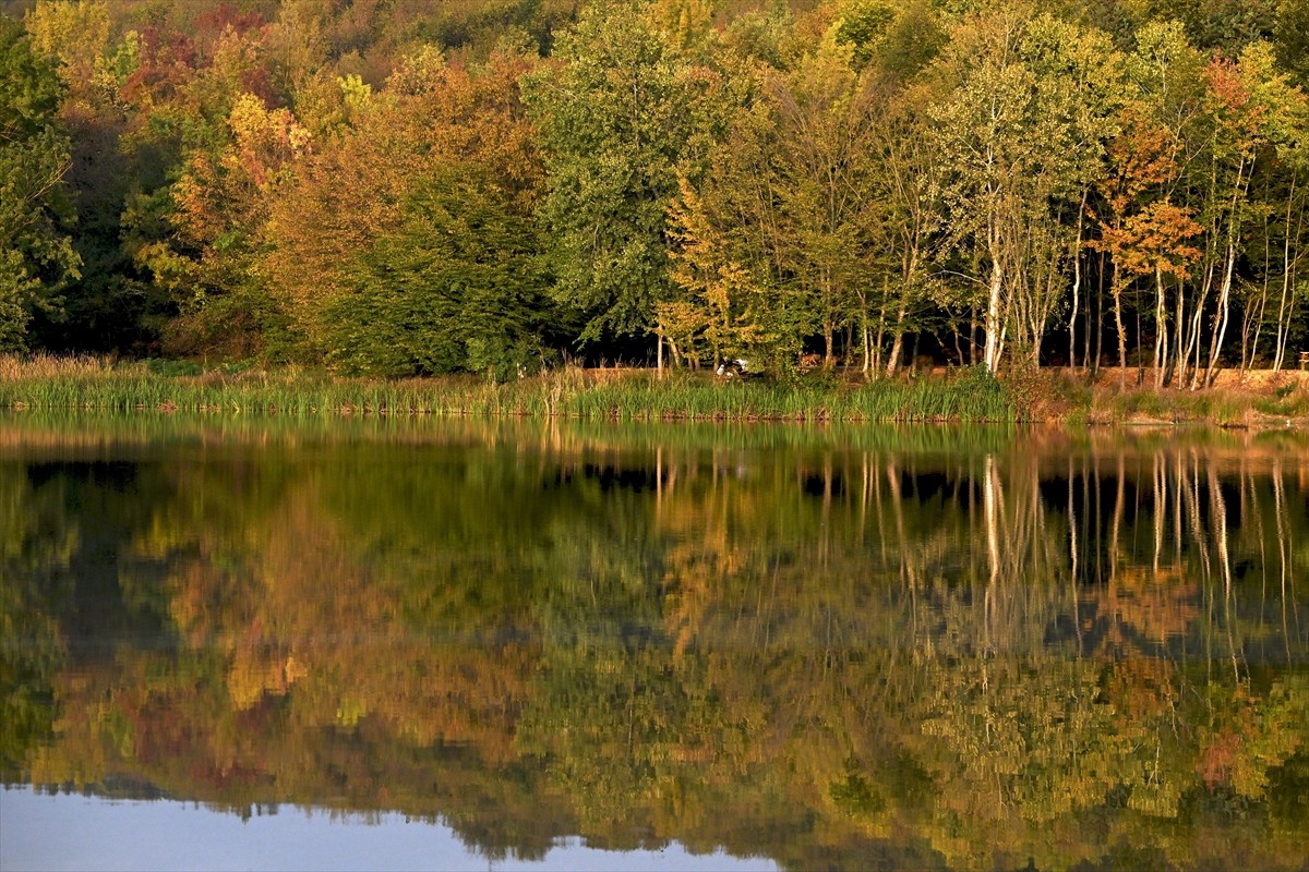 Düzce'deki Korugöl Tabiat Parkı, ziyaretçilerine sonbahar manzarası sunuyor. Bünyesindeki...
