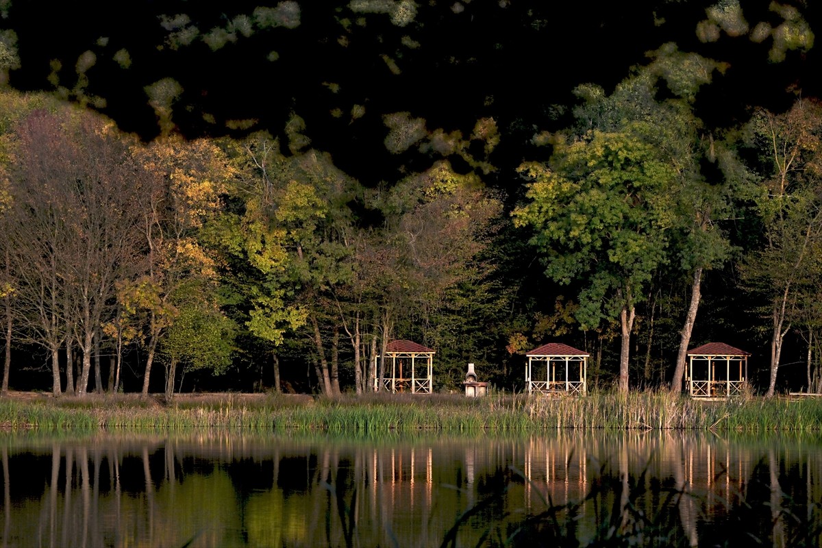 Düzce'deki Korugöl Tabiat Parkı, ziyaretçilerine sonbahar manzarası sunuyor. Bünyesindeki...