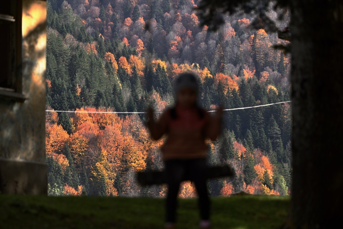 Düzce'deki Odayeri Yaylası ve Torkul Göleti, yeşil, sarı, kızıl ve kahverengi tonlara bürünen...