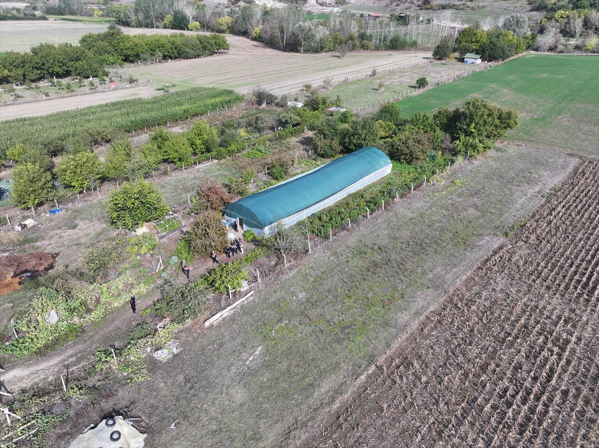 Edirne'de devlet desteğiyle kurulan serasında üretime başlayan 62 yaşındaki Şirin Uysal, Tarım ve...