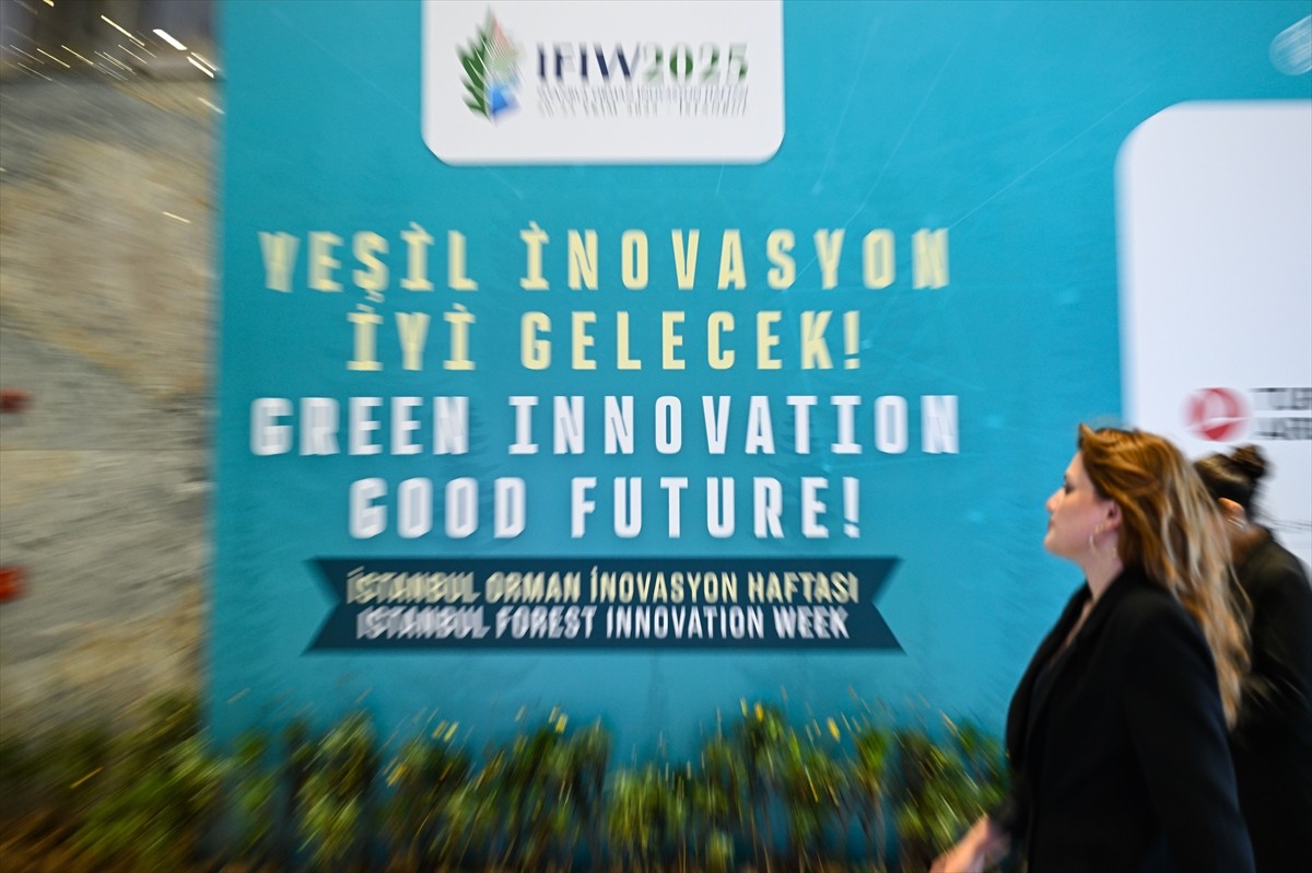 FAO Avrupa Ormancılık Komisyonu Genel Sekreteri Ekrem Yazıcı, AA muhabirine açıklamalarda...