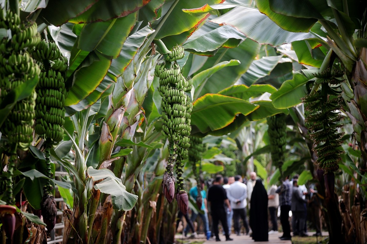 İran’ın kuzeybatısındaki Doğu Azerbaycan eyaletine bağlı Culfa kentinde, Azerbaycan ve Ermenistan...