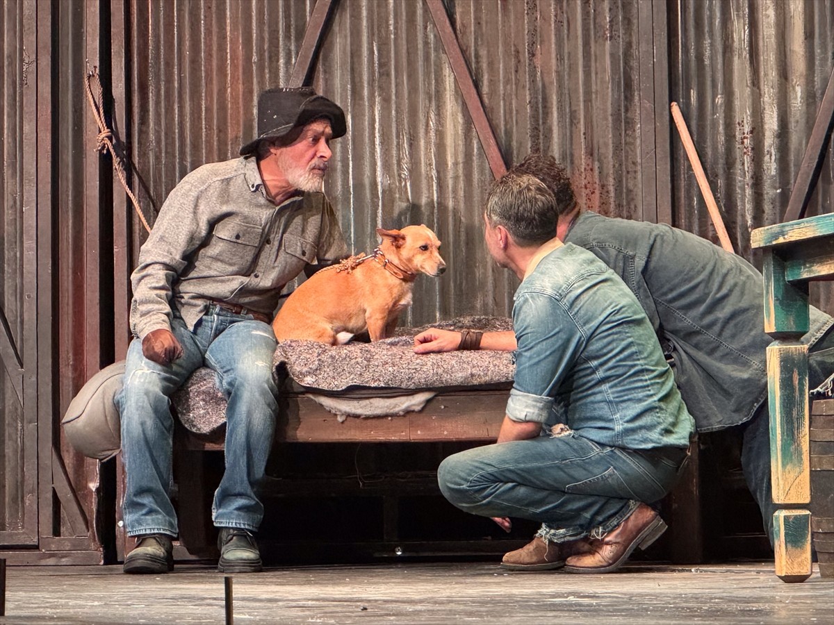 John Steinbeck'in unutulmaz eseri "Fareler ve İnsanlar" adlı tiyatro oyununun prömiyeri...