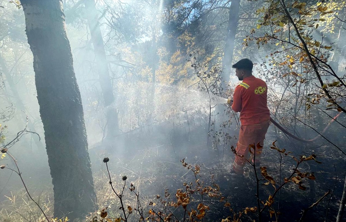 Kars'ın Sarıkamış ilçesinde ormanda çıkan örtü yangını söndürüldü, yaklaşık 1 hektar alan zarar...
