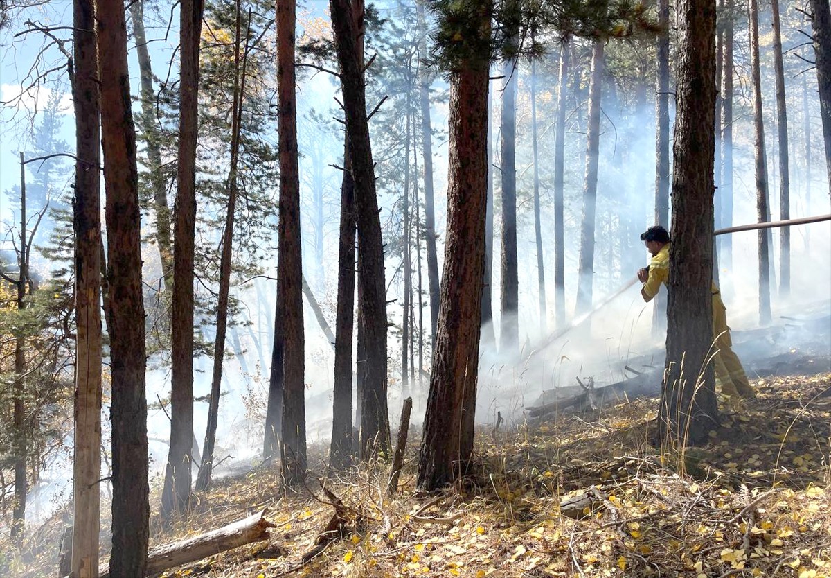 Kars'ın Sarıkamış ilçesinde ormanlık alanda çıkan örtü yangınında yaklaşık 1,5 hektar alan zarar...