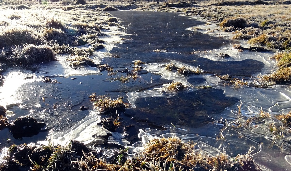 Kars'ta etkili olan kar yağışıyla yüksek rakımdaki köyler beyaza büründü. Sarıkamış ilçesinde de...