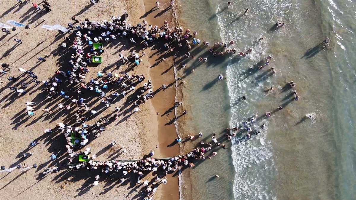 Muğla'nın Ortaca ilçesinde tedavileri tamamlanan 10 deniz kaplumbağası ile 5 yavru, Cumhuriyet'in...