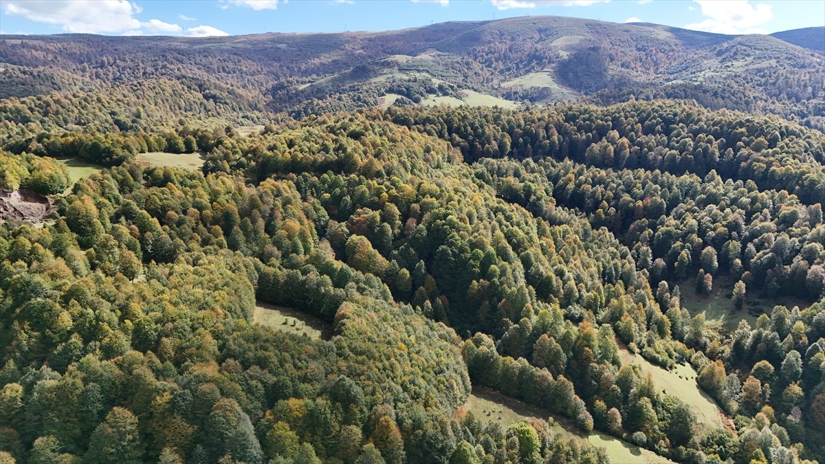 Ordu'nun Gölköy ilçesindeki 1500 rakımlı Uluvahta Yaylası, ziyaretçilerine doğa içerisinde huzurlu...