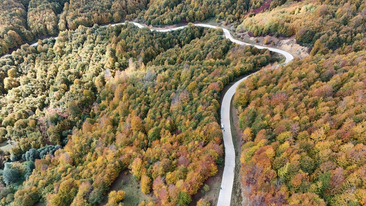 Ordu'nun Korgan ilçesine bağlı Korgan Yaylası'nda güz mevsiminin tonları görsel şölen...