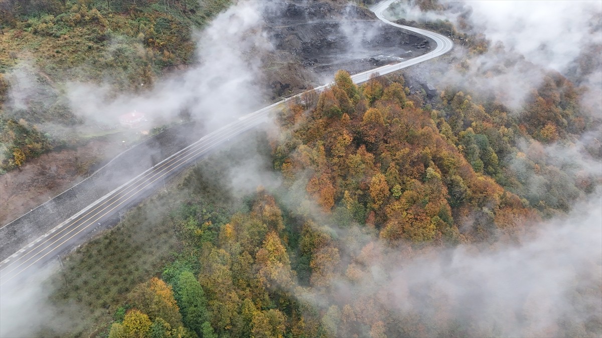 Ordu'nun yüksek kesimlerinde etkili olan sis, sonbahar renkleriyle güzel görüntü oluşturdu.