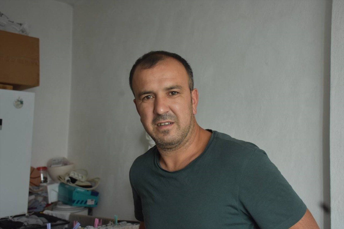 Sakarya'nın Hendek ilçesinde kestane topladıktan sonra eve dönerken uğradığı ayı saldırısından...