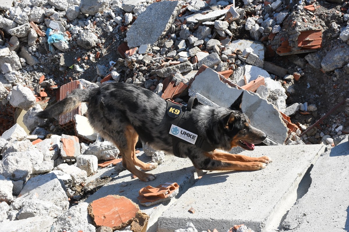 Samsun'da 6,4 büyüklüğündeki deprem ile yangın tatbikatı gerçekleştirildi. Büyükşehir Belediyesi...