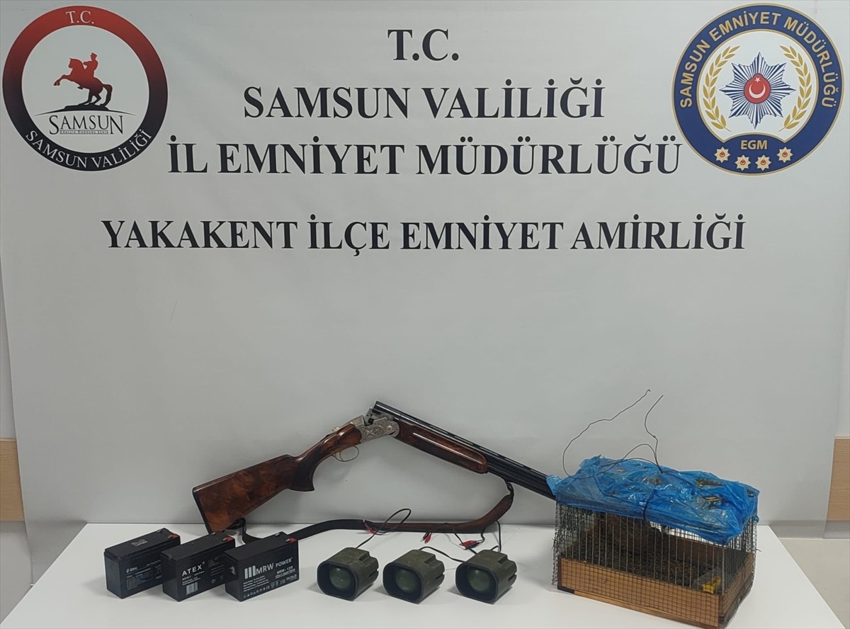 Samsun'un Yakakent ilçesinde, kafes içerisine koydukları bıldırcınla düzenek hazırlayıp kaçak...