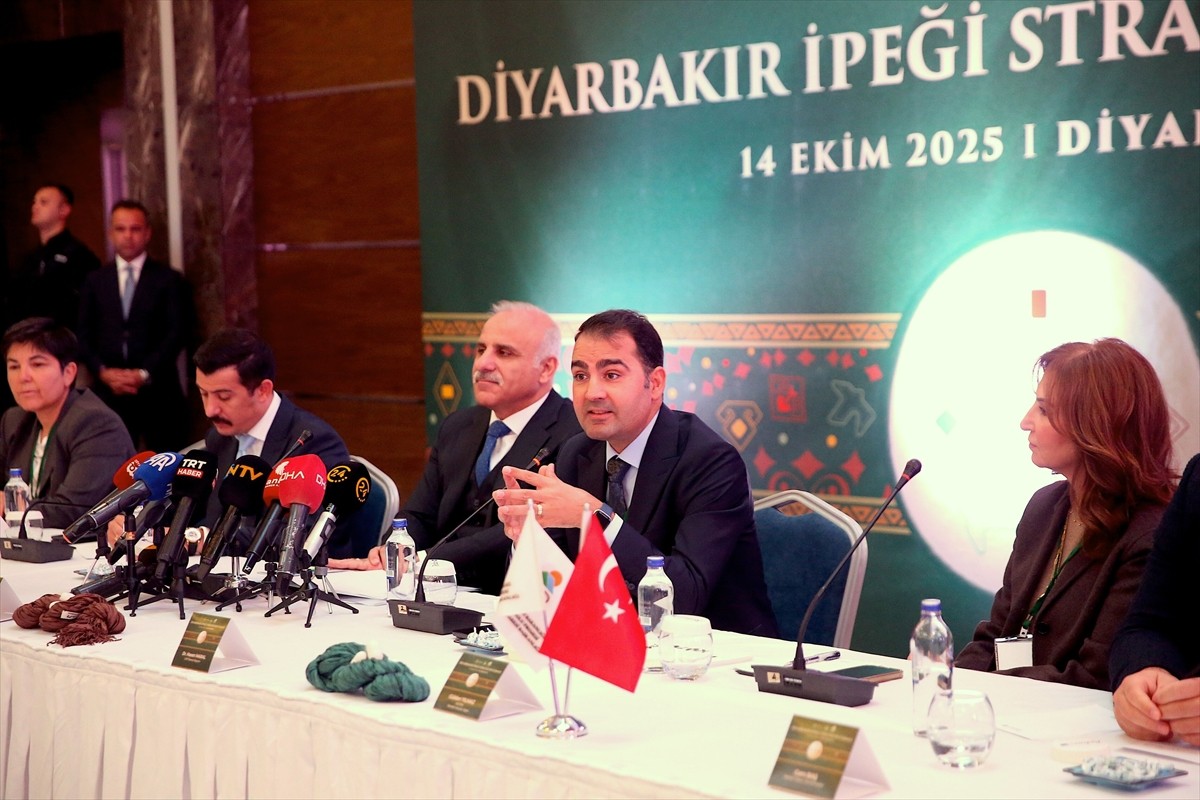 Sanayi ve Teknoloji Bakanlığı GAP Bölge Kalkınma İdaresi Başkanlığı, Diyarbakır Valiliği, Kulp...