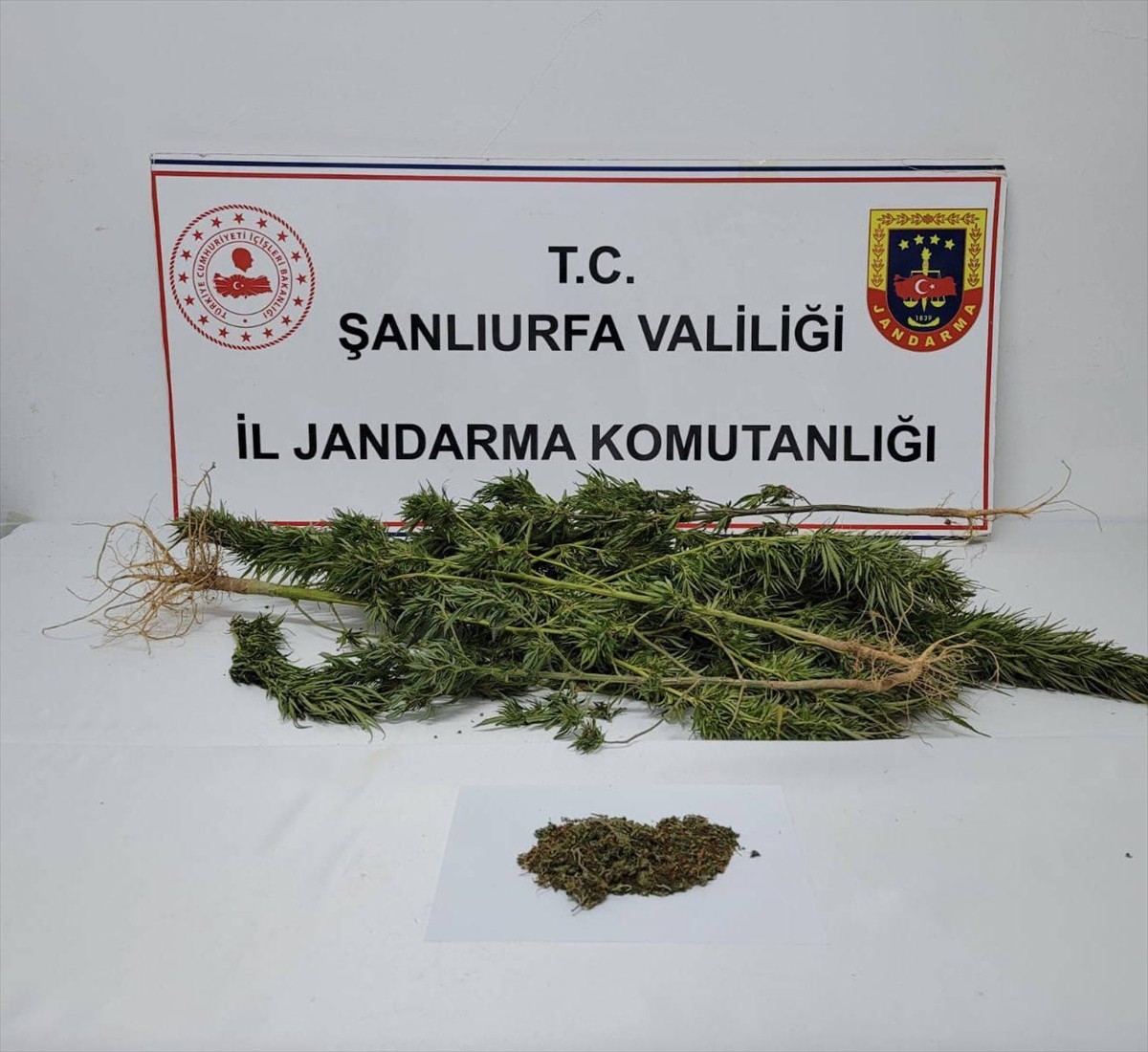 Şanlıurfa'nın Suruç ilçesinde düzenlenen uyuşturucu operasyonunda 4 şüpheli gözaltına alındı....