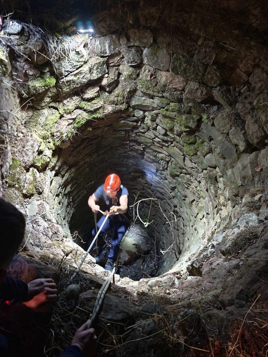 Siirt'in Baykan ilçesinde su kuyusuna düşen inek ekiplerce kurtarıldı.