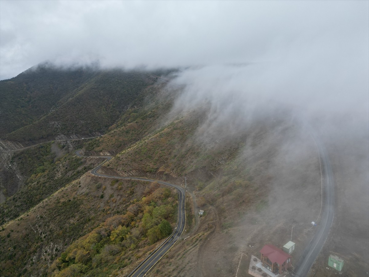 Tekirdağ'da Ganos Dağı eteklerinde sabah saatlerinde yoğun sis görüldü.