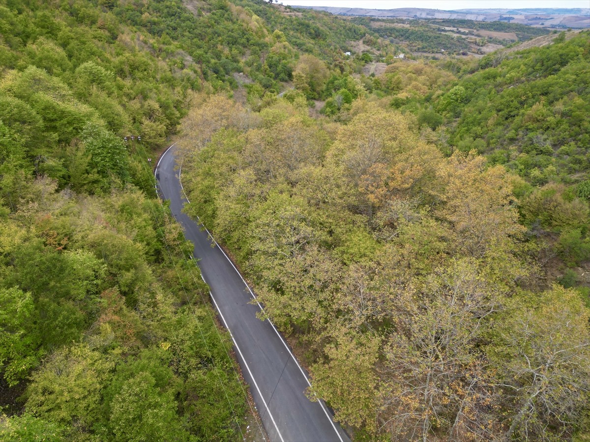Tekirdağ'daki Ganos Dağı'nın eteklerinde sonbahar renkleri hakim olmaya başladı. Sonbaharın...