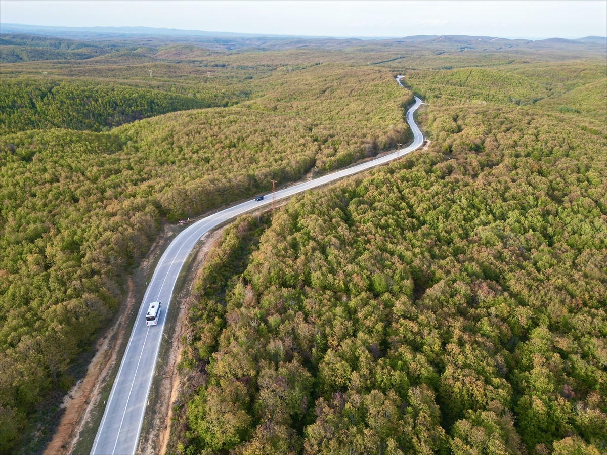 Tekirdağ'ın Saray ilçesinde ormanlık alanlarda sonbaharın renkleri hakim oluyor. Kanara Kanyonu...