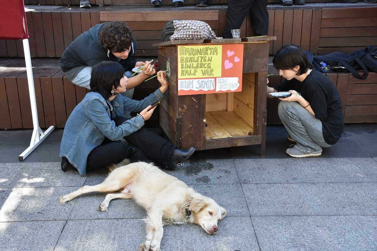 Trabzon'da 4 Ekim Dünya Hayvanları Koruma Günü dolayısıyla düzenlenen etkinlikte, öğrenciler köpek...