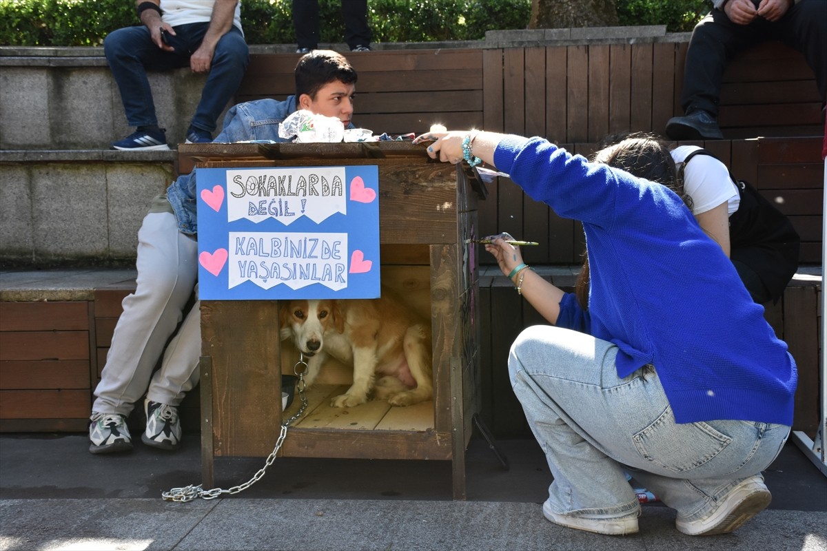 Trabzon'da 4 Ekim Dünya Hayvanları Koruma Günü dolayısıyla düzenlenen etkinlikte, öğrenciler köpek...