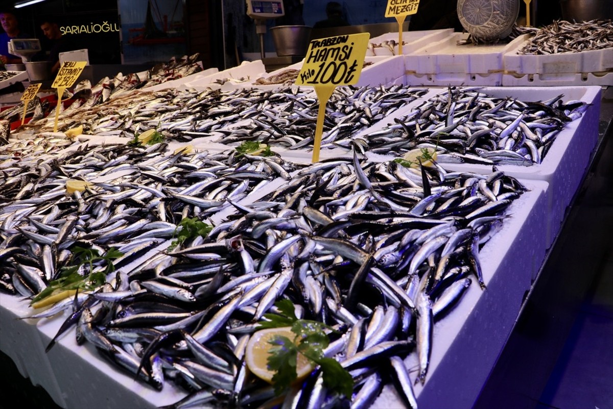 Trabzon'un Ortahisar ilçesindeki balıkçı tezgahlarında hamsinin kilogramı 100 liradan satışa...