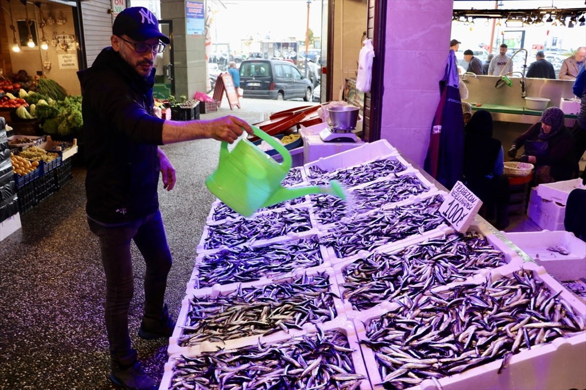 Trabzon'un Ortahisar ilçesindeki balıkçı tezgahlarında hamsinin kilogramı 100 liradan satışa...