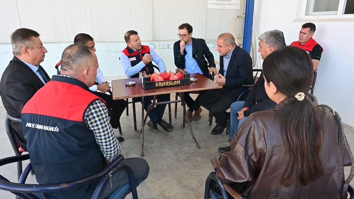 Türkiye'nin nar üretiminde önde gelen şehirleri arasında yer alan Denizli'de, ihracatlık narın...