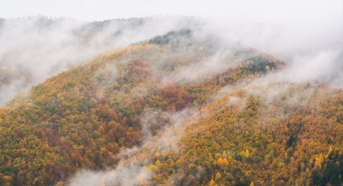 Türkiye'nin önemli kayak ve kış turizmi merkezlerinden Ilgaz Dağı'nın yüksek kesimlerinde etkili...